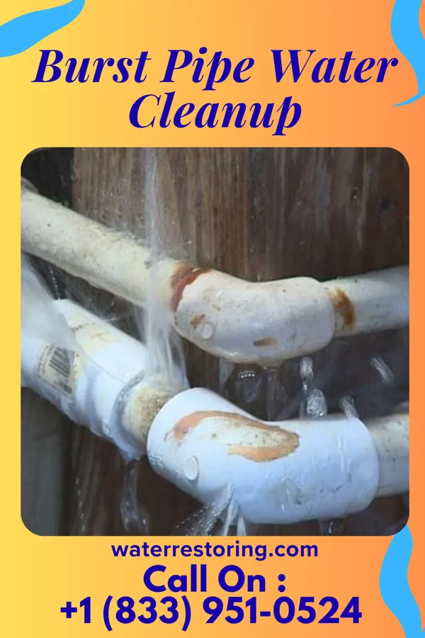 Burst Pipe Water Cleanup in Lakemont, PA