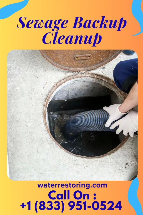 Sewage Backup Cleanup in Lakemont, PA